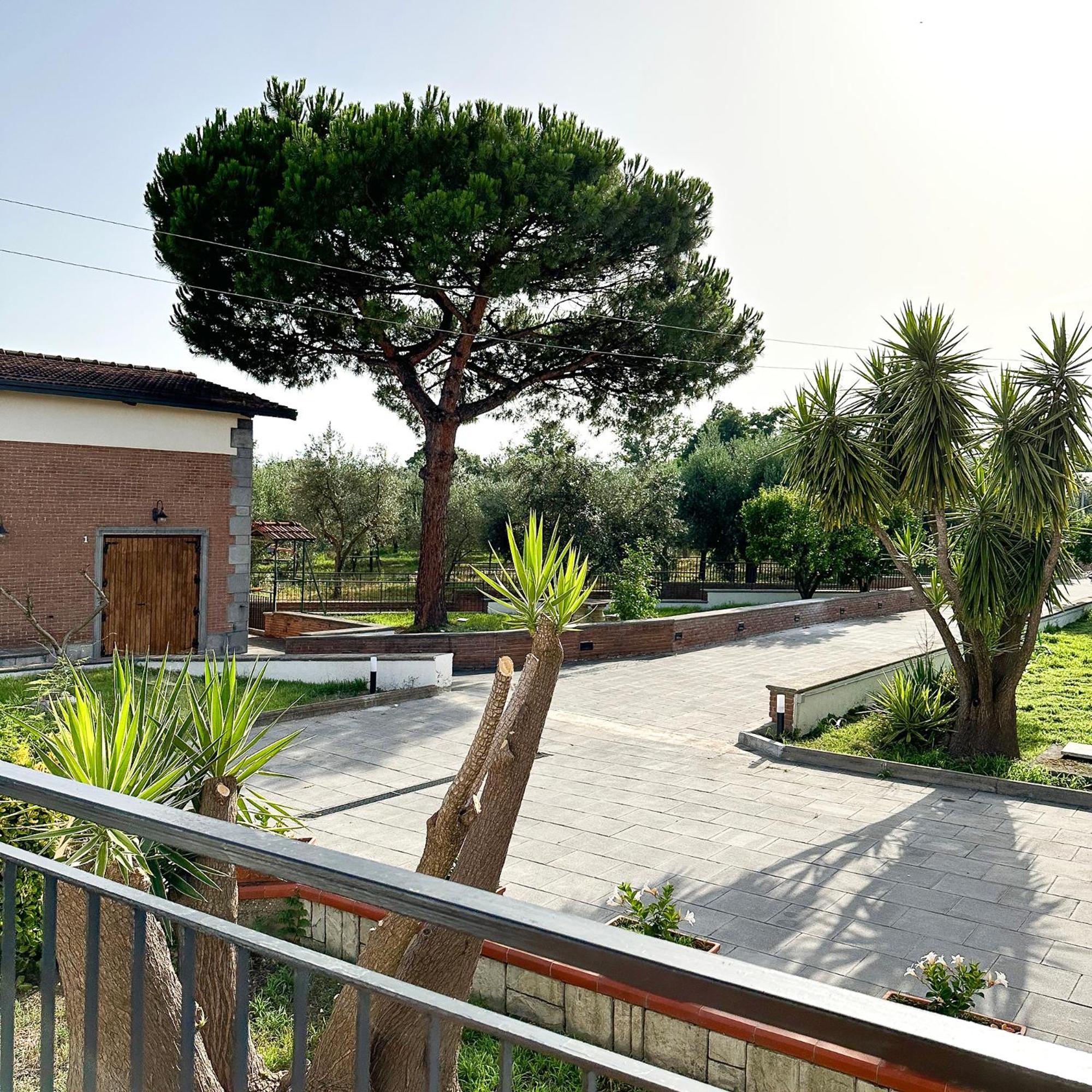 Tenuta Nunziata - Food, Event, Biofarm Торе Анунциата Екстериор снимка