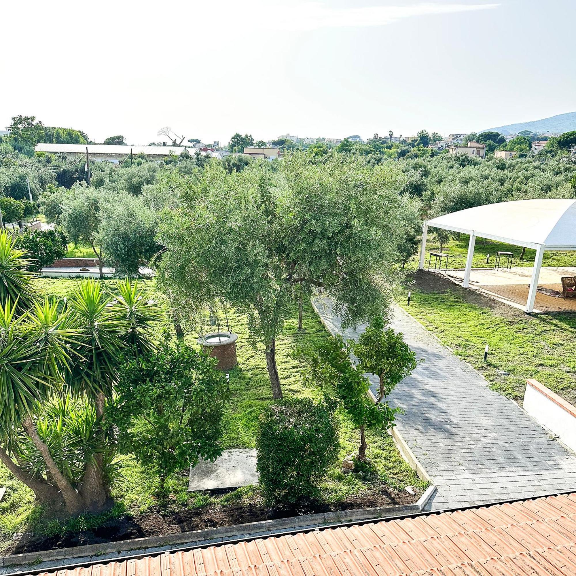 Tenuta Nunziata - Food, Event, Biofarm Торе Анунциата Екстериор снимка